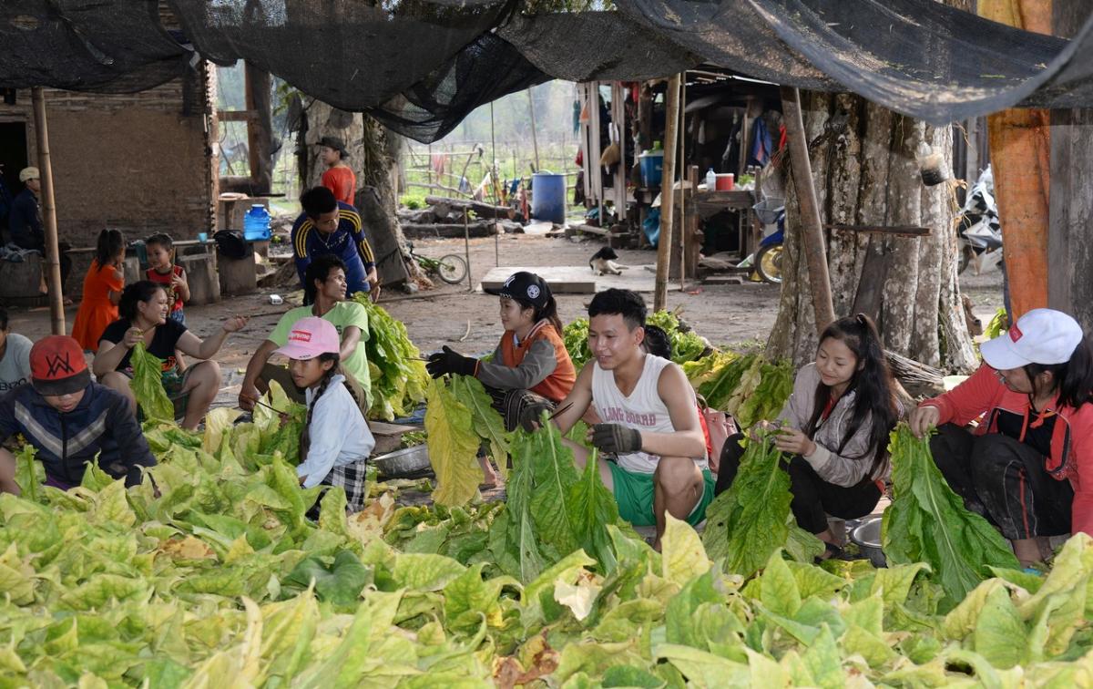 Laos 2019 kong lor 11